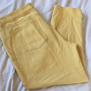 TALBOTS Soft yellow pants